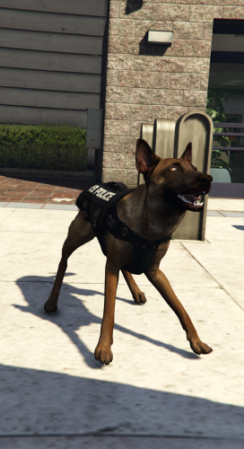 More information about "K9 Malinois [PED]"