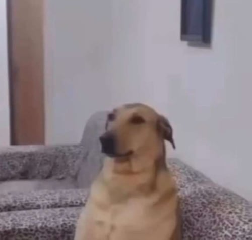 More information about "GS Solutions VMS"