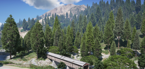 More information about ""