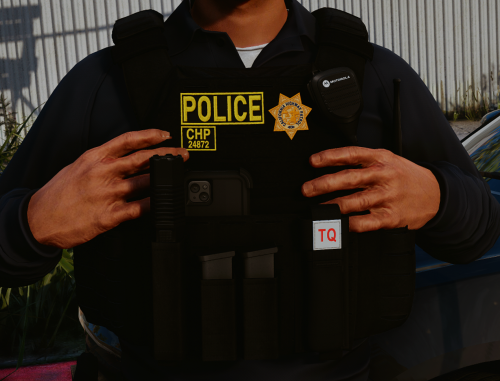 More information about "Lewis H. - Rampage Tactical Vest"