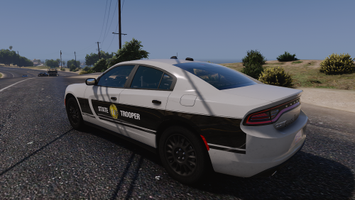 More information about ""