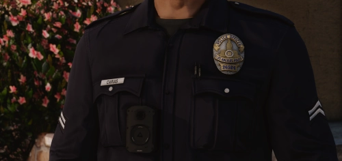 More information about "Lewis H. LAPD Badges"