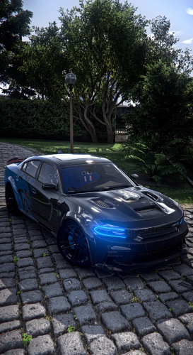 More information about "Golden Fade Charger"