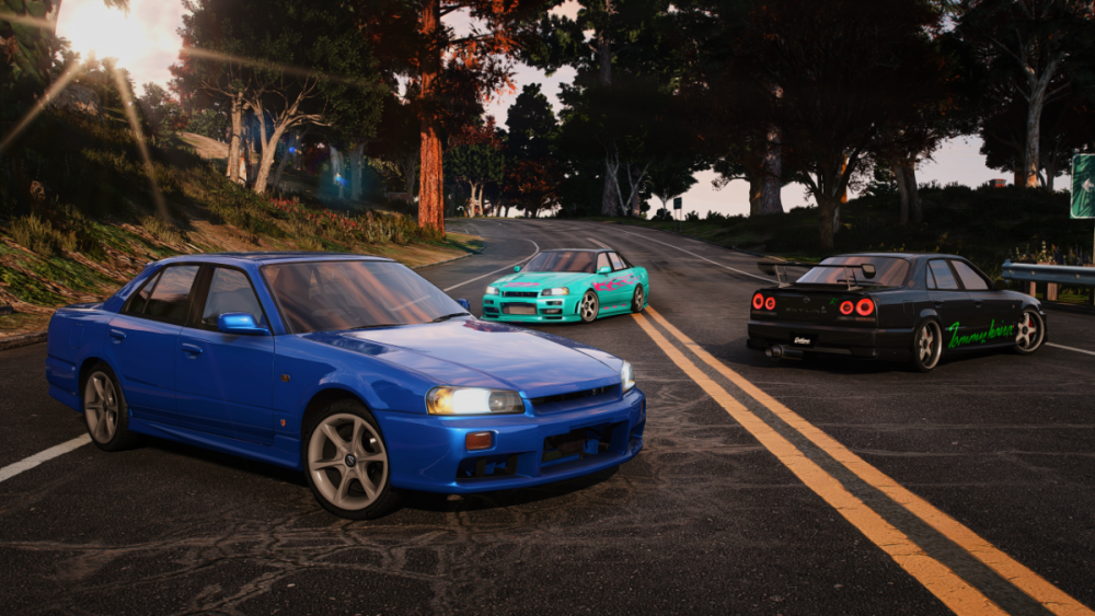 FiveM_GTAProcess2026-01-1317-09-52_625.png