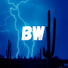 BraxyWolfYT