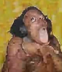 image.png.8d3b02938216b290d4cf5c799e3d6f2f.png