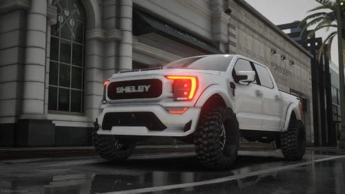 More information about "Custom 2021 Shelby F150 CrewCab 4x4 | BaddBlood Customs"