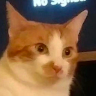 samzhangtw
