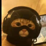 nmsidontleak