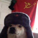 mahbodgh