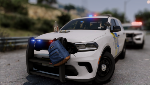 More information about "Garden State Roleplay - Full Vehicle Dump"