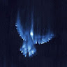 Zubair_MSB