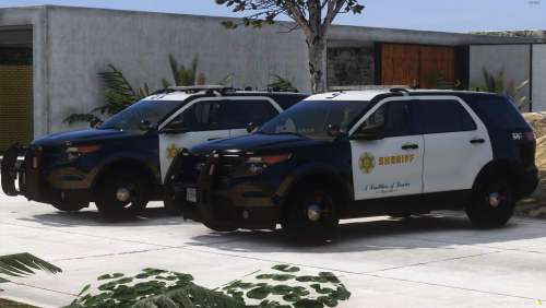More information about "LASD 2013 FPIU PACK"